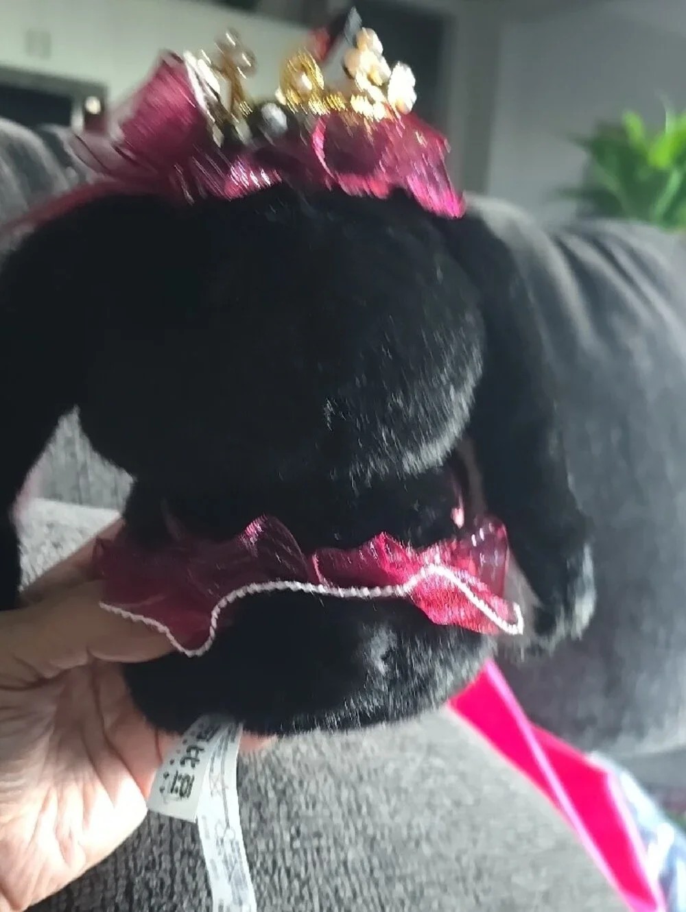 kebidou cute black